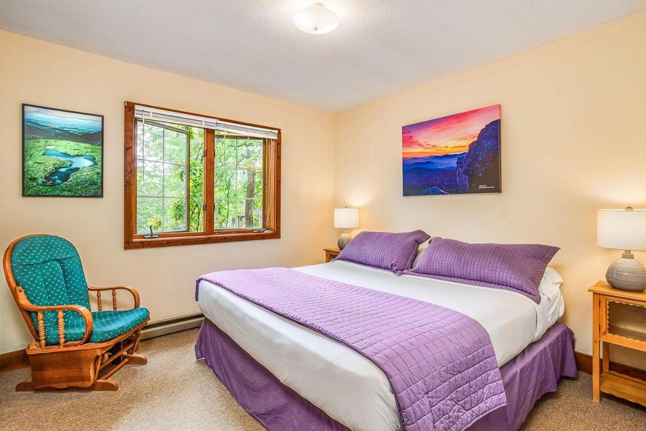 Love Ridge Mountain Lodging Lyndhurst Exterior photo